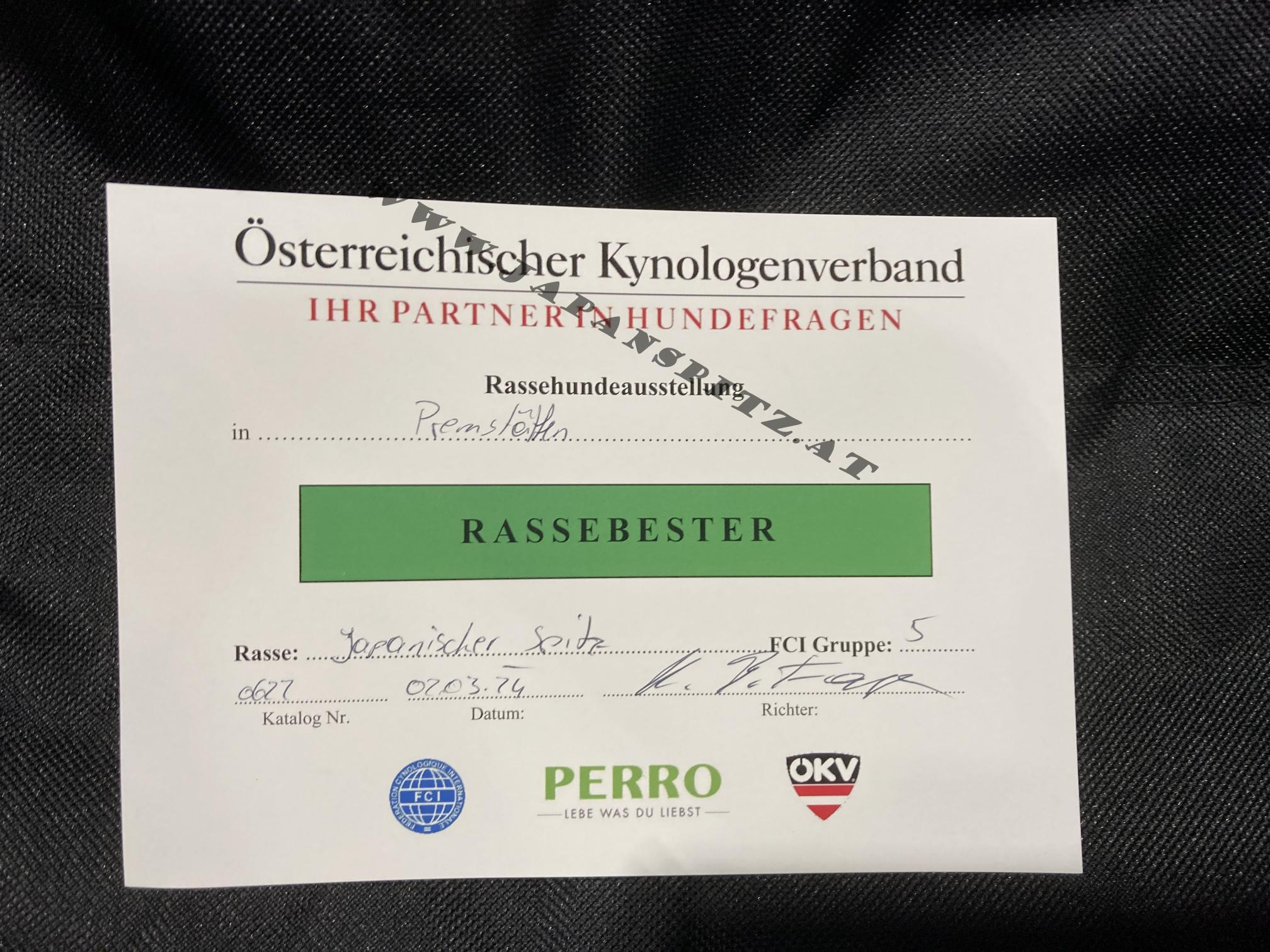 Rassehundeausstellung, Premstätten März 2024